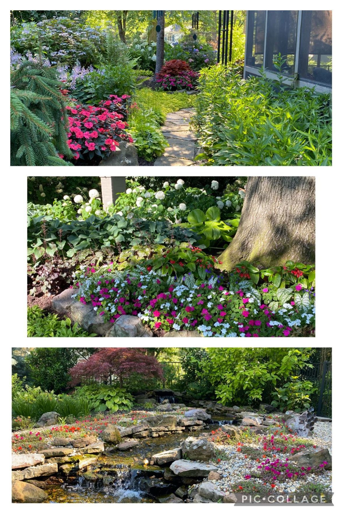 Backyard Oasis